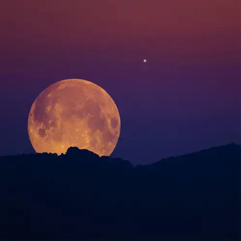 Harvest Moon